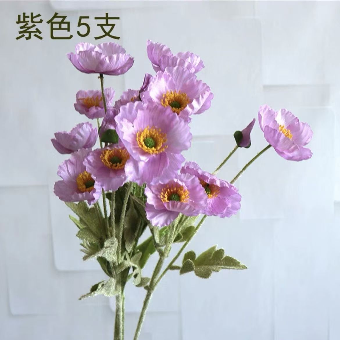 보라