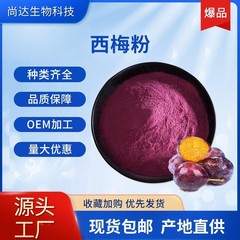 プルーンパウダー99％抽出物水溶性粉末固形飲料食品原料既製品フルーツパウダー食品グレード
