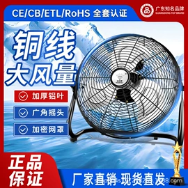 电风扇;大功率风扇;电饭煲/锅