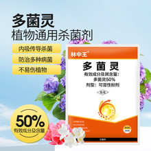 林中王50%多菌灵 杀菌剂通用稳定高效喷施内吸性病菌粉剂