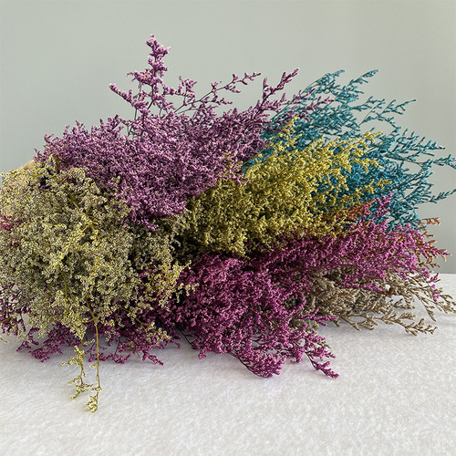 Perennial Love Grass Dried Flowers, Forest Style Real Flower Bouquet, Home Decor Flower Art Floral Arrangement Material, DIY Craft Supplies