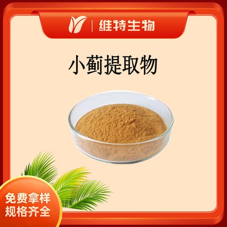 小蓟提取物5：1 水溶性小蓟粉 刺儿菜植物提取物现货批发