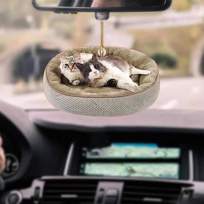 Fun Car Accessory