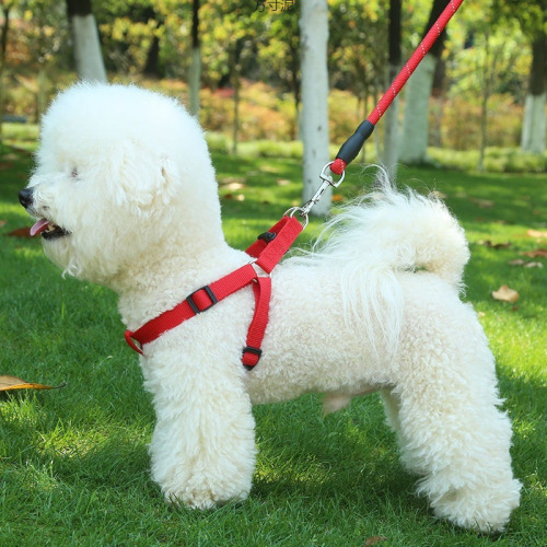 Dog Leash 2m 3m Dog Harness Back Harness Golden Retriever TEDDY Small Medium Large Dog Walking Rope Pet Collar
