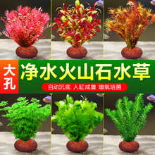 ��ɽʯˮ��ֲ���~���쾰���ˮ������ˮ����ԾG�Ճ���ˮ�|�ײ�