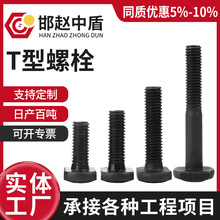 �ߏ���T����˨�����l�ڹ��Ҳۉ�����˨T�ͷ��^�ݽz���L�ݼy�ݗU