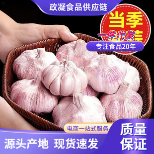 �����x��ɽ�|���l��������l1/9�����������^�tƤ�����r���߲�