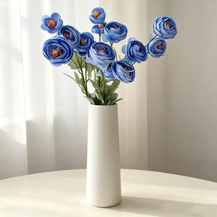 �ߙn4�^¶ɏ���滨�Ҿ��b� ��õ��c����·���廨�̈��b���