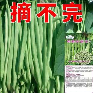 ���ټt���м��ļ����N�Ӹ߮a�ܶ��������ļ������ǷN���߲˷N��