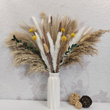 跨境永生花小芦苇小拂尘芦柴黄金球干花花束橱窗家居装饰拍摄道具