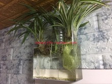 墙面装饰壁挂鱼缸花瓶水族箱 生态迷你缸 挂墙微景观种植塑料缸