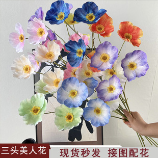 ����ٻ���֦������3�^���˻����ڻ�Y�������û�c·���ҾӔ[��