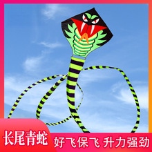 风筝大人专用巨型特大号潍坊风筝成人大型高档蛇年超长尾微风易飞