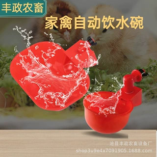 自动饮水碗 鸡鸭鸽子喝水碗自动饮水器雏鸡鹌鹑饮水碗鸡用饮水碗