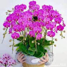 �����m���Ԏ����������������ﶬ�͏d�m�������҃�ֲ���ļ����B��