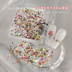 ネイルドライフラワー混合クロスボーダー新商品満天星カラー小砕花爪装飾品DIY部品材料