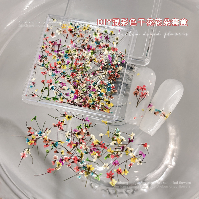 Cross-Border New Style Dried Flower Nail Art Materials Mixed with Colorful Baby's Breath Flowers and Small Floral Fragments for Nail Decorations DIY Accessories