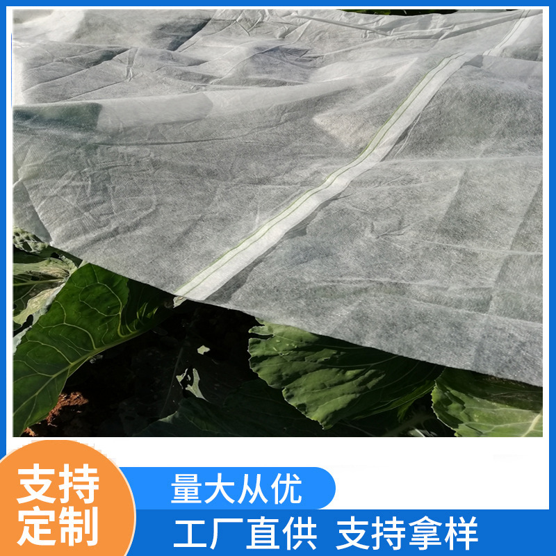 福建澳杰农业覆盖可拼接无纺布白色抗紫外线大宽幅纺粘无纺布