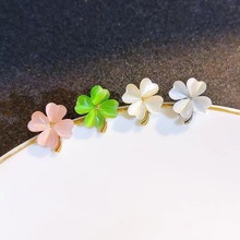 ���~�����Ů2024���¿С���OӋ��؈��ʯ�ػ����n�W�t���|�e�