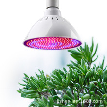 60W����PAR LED����ֲ�����L��450nm 630nm���L352 LED�۹��a���