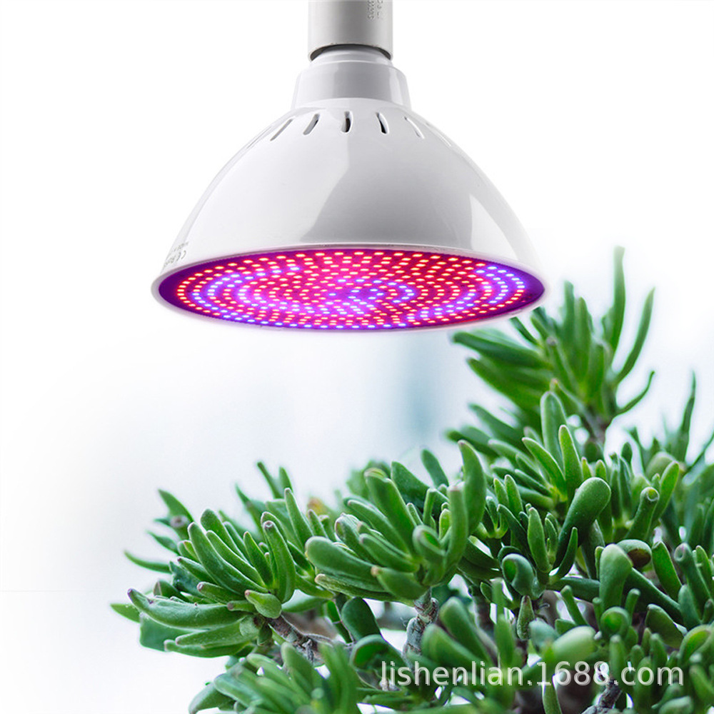 60WPAR LEDֲ450nm 630nm352 LED۹ⲹ