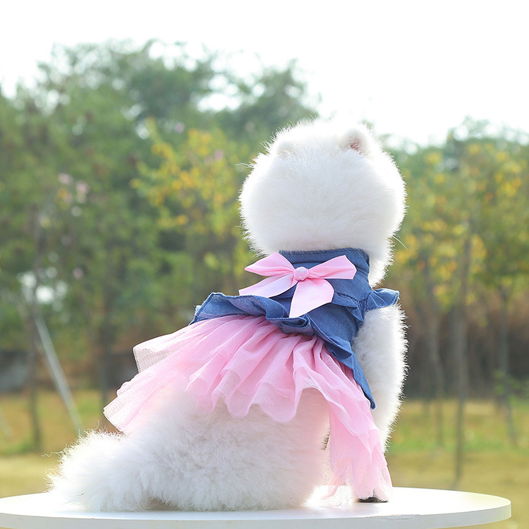 Princess Denim Bow Knot Pet Clothing display picture 2