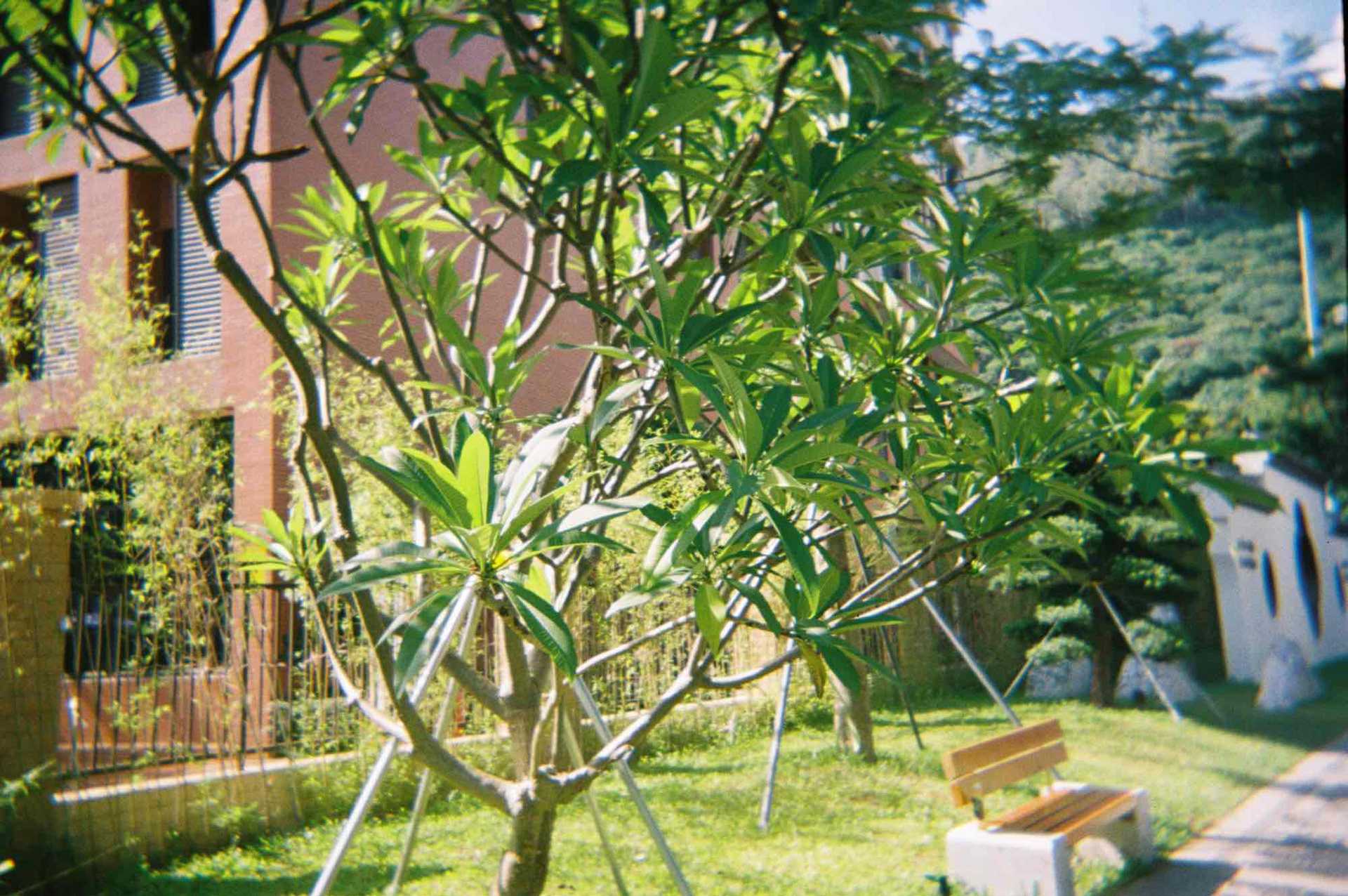 90997CFC-6A89-4C15-97EC-399E75