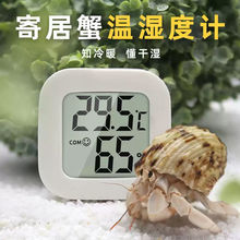 寄居蟹温湿度计爬宠宠物孵化养殖用乌龟电子温度计高精度鹦鹉挂墙