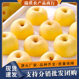 �S�����͸�ʿ�S�{˹�O��5�������������rˮ��10���l3�SԪ��ɽ�|