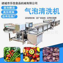 帝王蟹蚕蛹清洗风干机 果蔬加工设备 多功能银耳龙须菜气泡清洗机