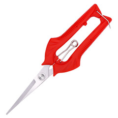 Manufacturer wholesale garden pruning shears, picking fruit tree branches, bonsai tools, scissors, fruit picking shears