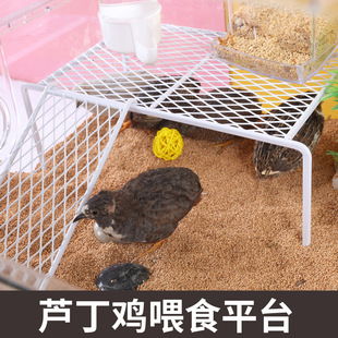 �J���u�C�쾰ƽ̨ιʳ̨�W���������ʳ��ˮ���J���u��B��Ʒ���