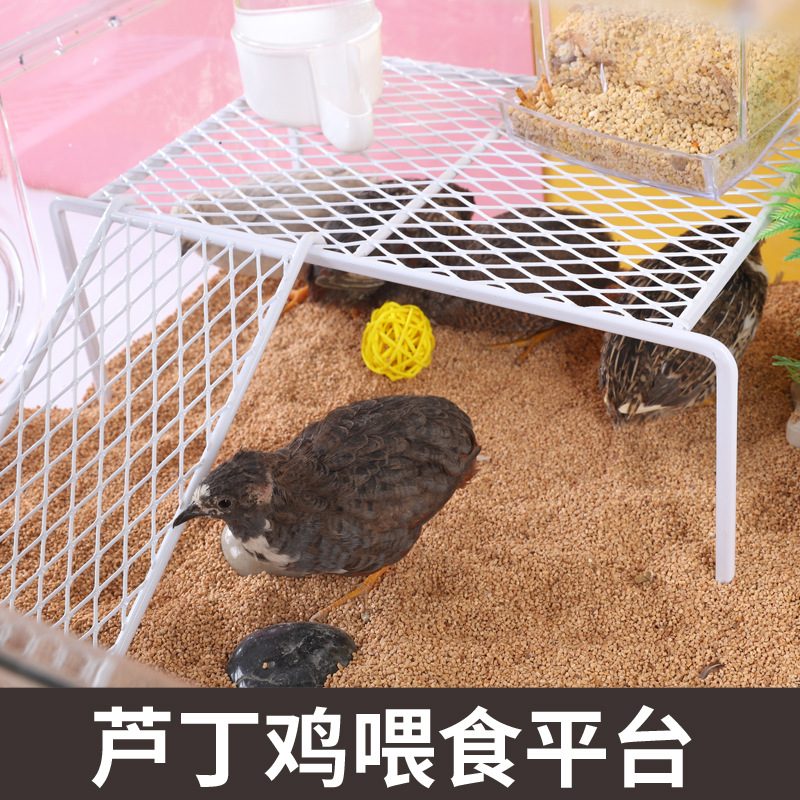 蘆丁雞窩造景平台餵食台網格架子桌子食盆水壺蘆丁雞飼養用品配件