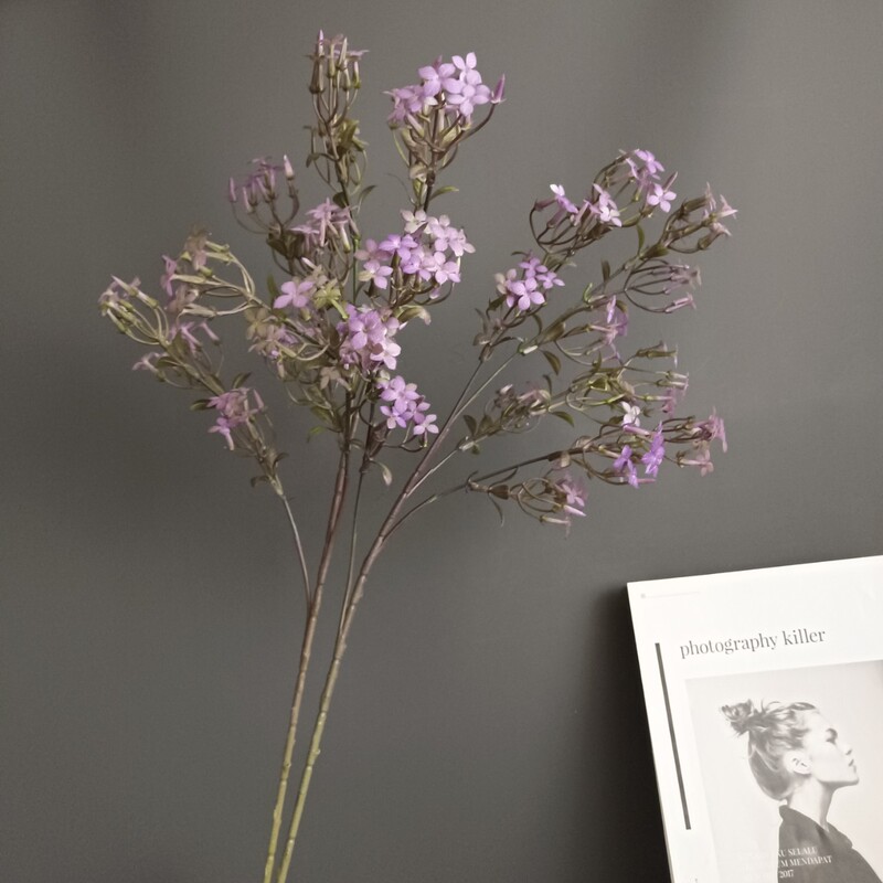 Simulated Clove Flower Single Branch Orchid Grass Scandinavian Home Model Room Hotel Wedding Design Flower Arrangement Accessories Wholesale Simulated Clove Flower Single Branch Orchid Grass Scandinavian Home Model Room Hotel Wedding Design Flower Arrangement Accessories Wholesale