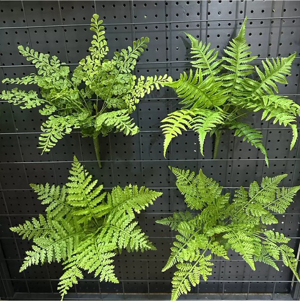 Simulated green plants ferns landscape Persian rich ferns green…