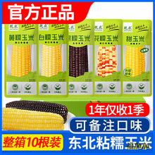 兢农低脂代早餐东北黄糯白甜花糯玉米黑糯新鲜饱腹主轻食黏粗粮粘