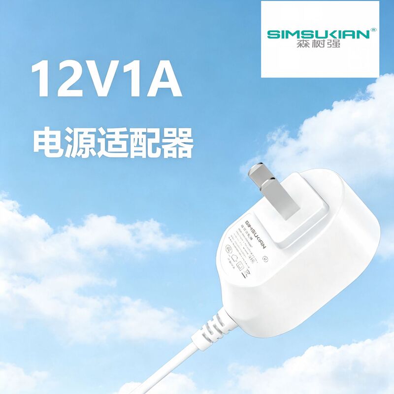 12V1A Adapter Power Supply Standard Charger for Massage Device, Full Power Sen Shuqiang Charging Head, Dc Plug Type