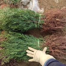 lؘһ؂Ȱ֦~Ȱرɰɘ^lɰؘ