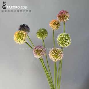 ��Ʒ�|�����[��ɭϵ��c���Ż��ҾӔ[�ź��s��ˇ�쾰���Q�ٻ����l