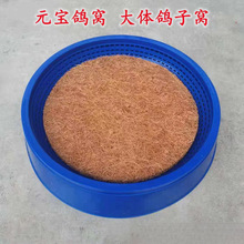 鸽子用品用具肉鸽塑料窝防侧翻窝元宝窝鸡窝塑料巢盆棕垫鸽窝