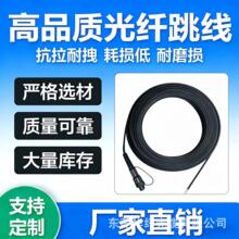 ���wƤ�������S��ֱ�N��ż����ι��|LC/SC/FC/ST���^���w����