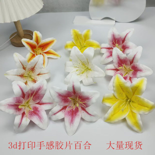 3D��ӡ�����zƬ�ٺϻ��^�����廨�b�diy�^��������hñ�������