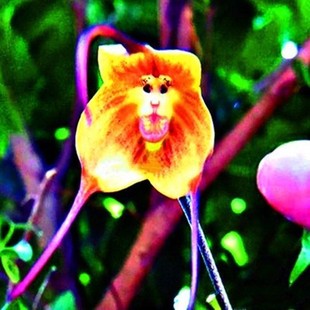 ���滨�N�����غ����m���N���̨���Ի��ܷN�ӻ����ļ��׷N��