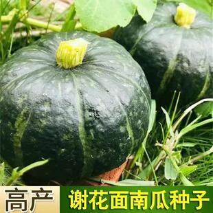 �x�����ϹϷN�ӵ��S�㻨�GƤ�C������������Ϲ����泬���ļ��߲�