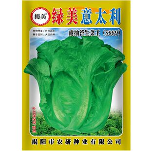 �G����������˷N��25�� �~Ƭ��Gˬ�� �ͳ�̦�̨�r�I�ļ��߲���