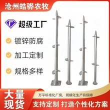 高强度光伏螺旋地桩 工程级螺旋地桩定制光伏地桩