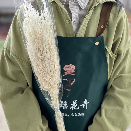 Oatmeal dried flower guest restaurant home decoration DIY material wholesale bouquet creative internet-famous photo prop preserved flower