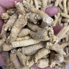 ����ʳƷ  ���� ɽ�|��β���셢Դ�^؛Դ���l