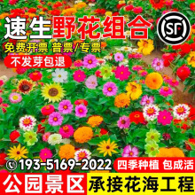 ҰMϻNļҰNѹ@^ղݻN