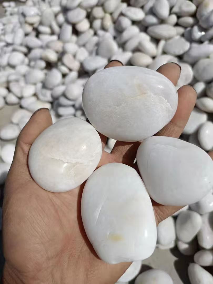 微信图片_2025-07-23_105524_048